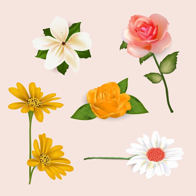 Realistic spring flower collection