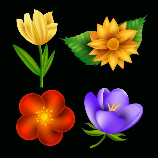 Realistic spring flowers collection