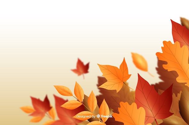 Free Vector realistic style autumn leaves background