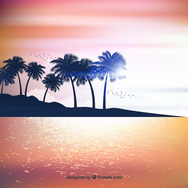 Free Vector realistic summer sunset with palm silhouettes