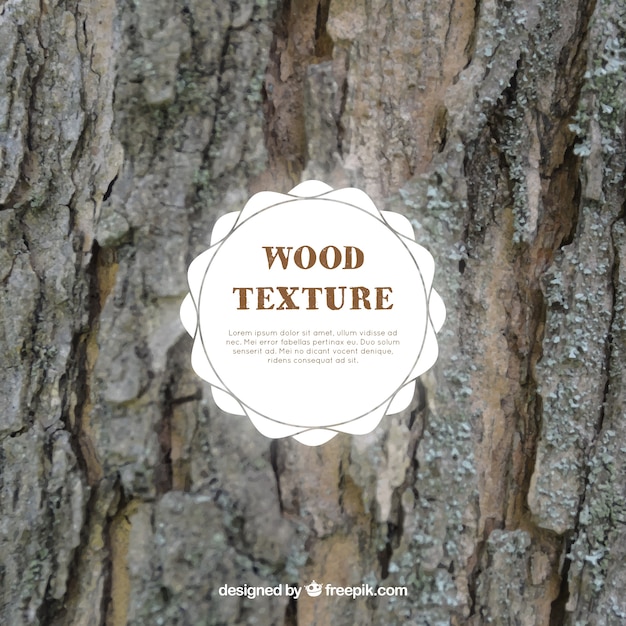 Free Vector realistic texture of tree trunk