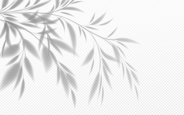 Free Vector realistic transparent shadow of a bamboo branch with leaves isolated on a transparent background. vector illustration