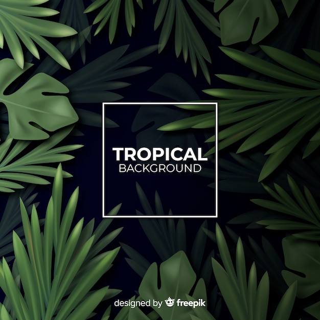 Free Vector realistic tropical background