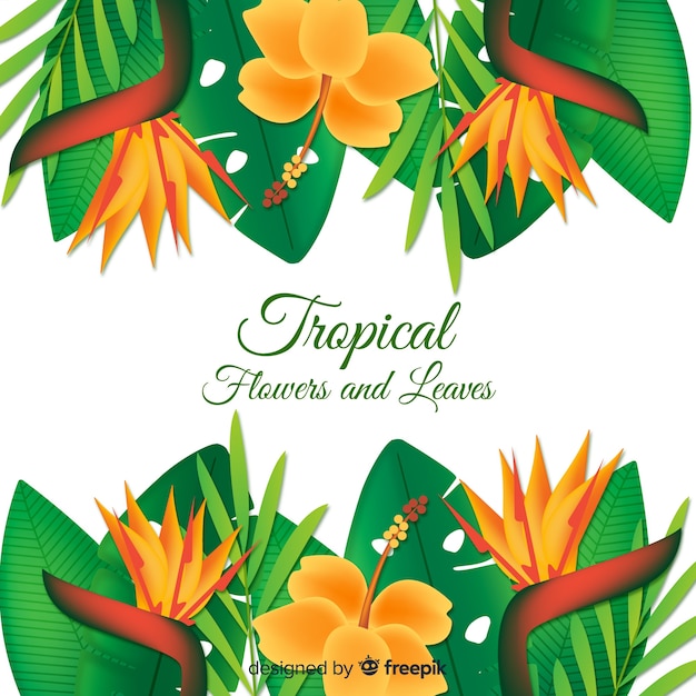 Realistic tropical background