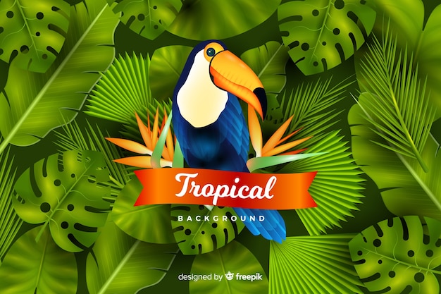 Realistic tropical leaves and birds background