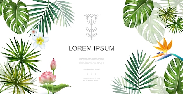 Realistic tropical plants floral concept with frangipani lotus bird of paradise flowers monstera and palm leaves