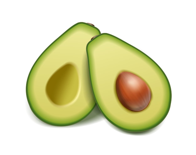 realistic vector icon set Raped green avocado and half sliced