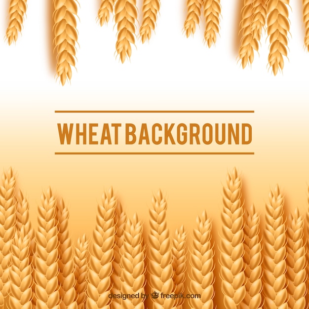 Realistic wheat background