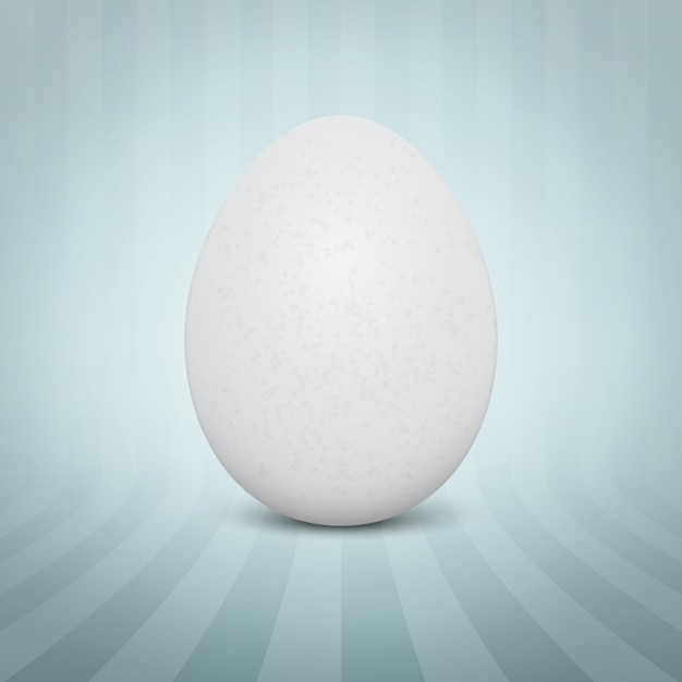 Free Vector realistic white egg