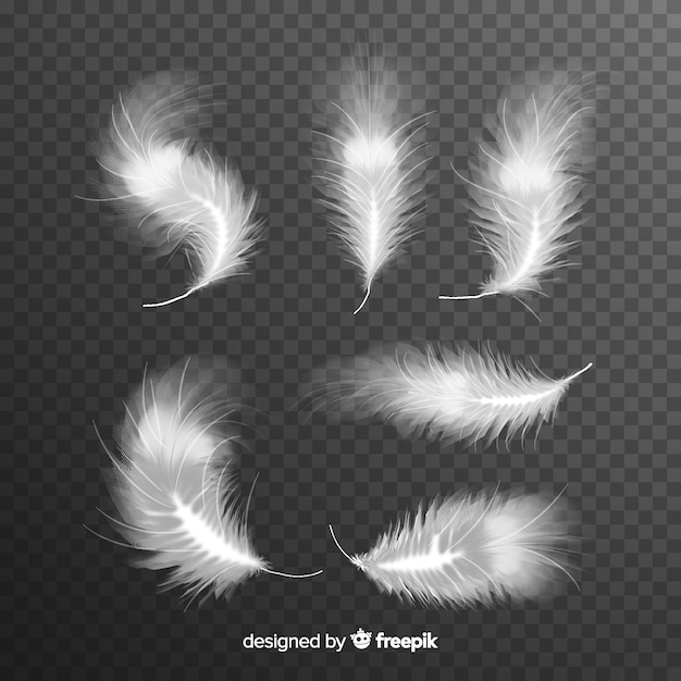 Free Vector realistic white feather set