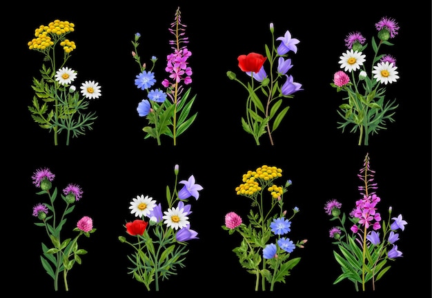 Free Vector realistic wildflower bundles icons set on black background isolated vector illustration