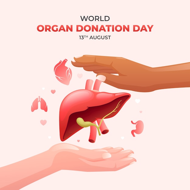 Free Vector realistic world organ donation day illustration with hands holding liver