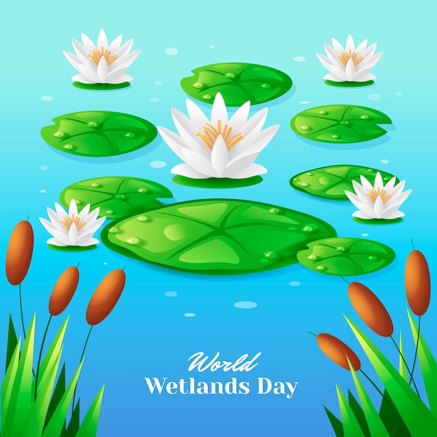 Free Vector realistic world wetlands day illustration