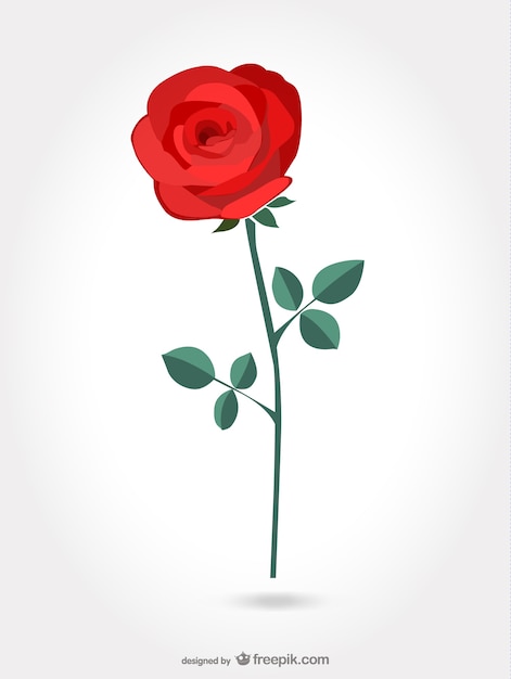 Free Vector red artistic rose