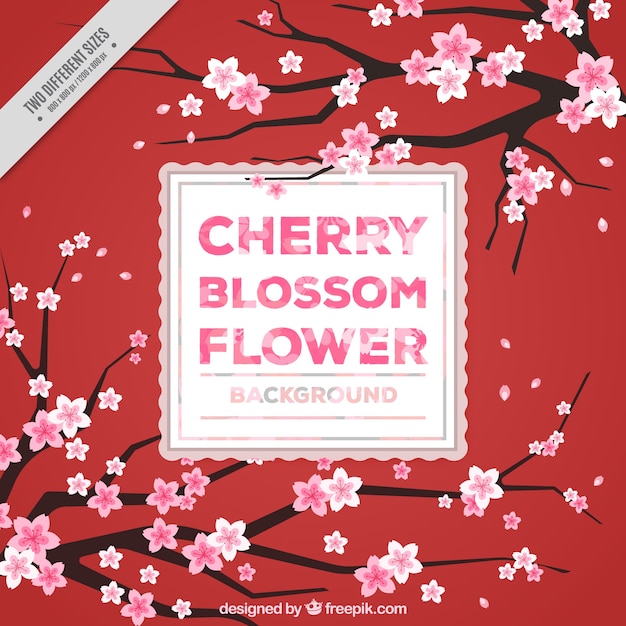 Free Vector red background with cherry blossoms