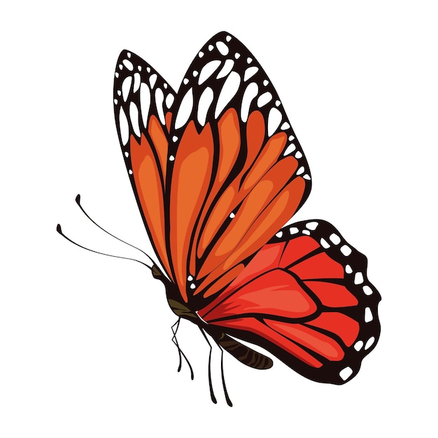 Free Vector red beauty butterfly insect icon