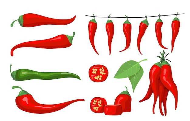 Free Vector red chili pepper set