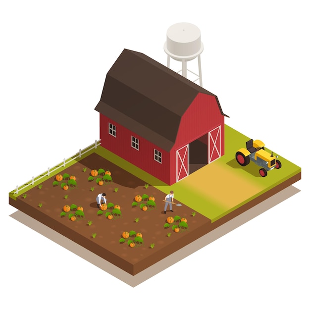 Red farmyard with pumpkin plantation isometric illustration