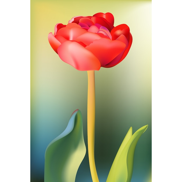 Red flower background