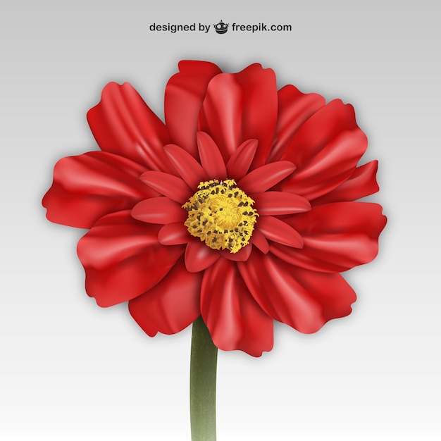 Free Vector red flower