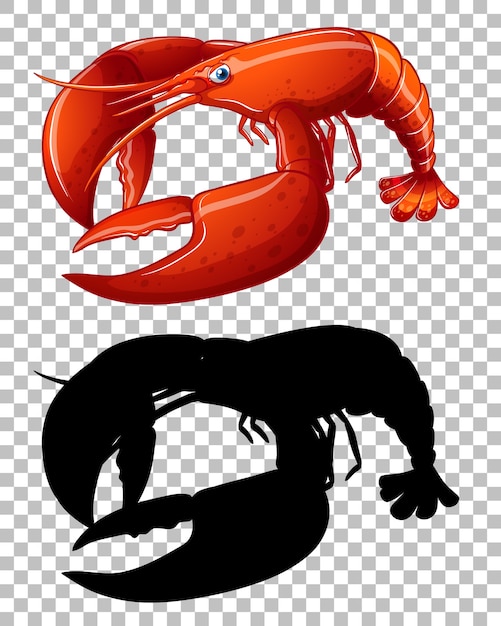 Free Vector red lobster and its silhouette on transparent