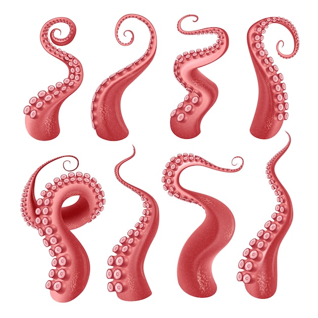 Free vector red octopus or kraken tentacles with suckers realistic set isolated at white background vector illustration