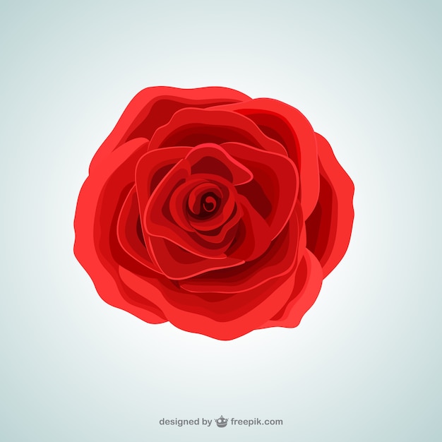 Free Vector red rose