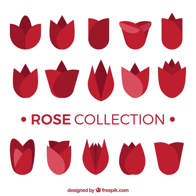 Red roses collection