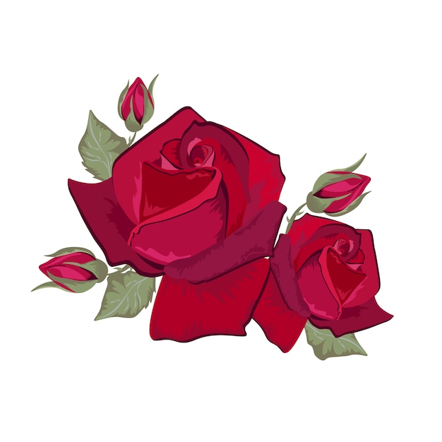 Free Vector red roses design