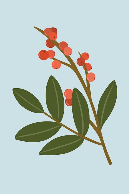 Free Vector red winterberry on a blue background vector