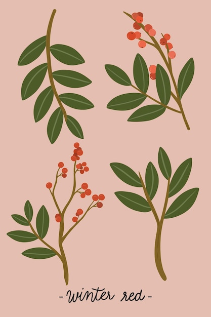 Free vector red winterberry ornament collection vector