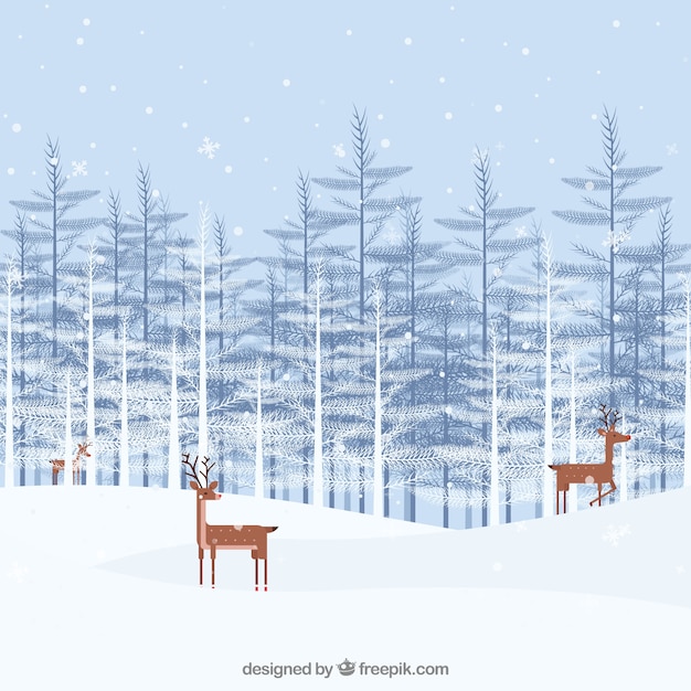 Reindeers in a forest