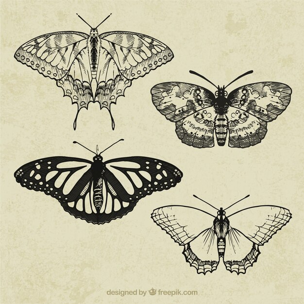 Retro butterflies