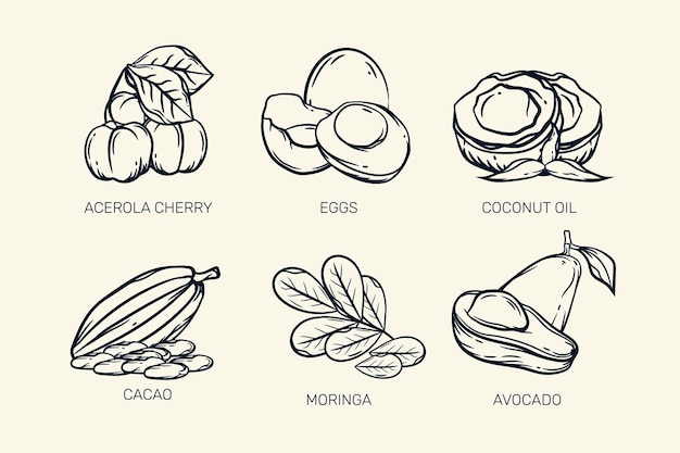 Free Vector retro sketch of superfood colelction