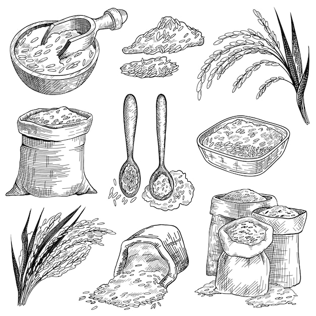 Rice grain in sacks and bowls sketch set