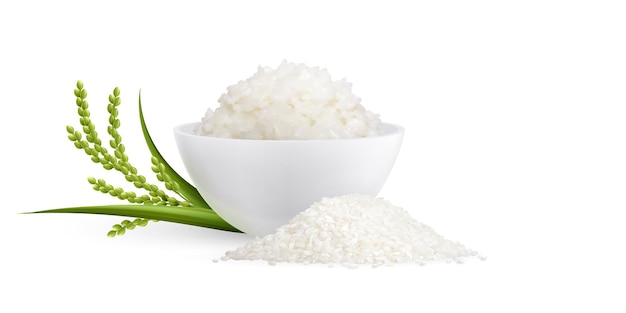 Rice realistic composition with mound of raw white paddy near cooked porridge in bowl decorated by green sprout vector illustration