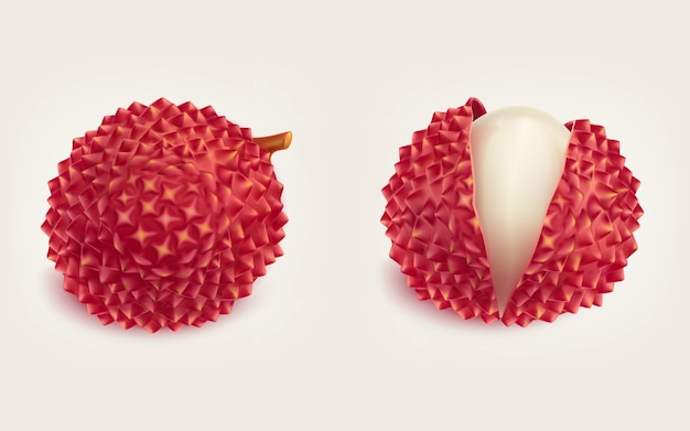 Free Vector ripe fresh litchi fruits realistic isolated vector