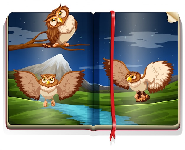 Free Vector river scene with three owls in the book