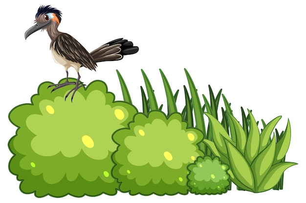 Free Vector a road runner standing on a bush