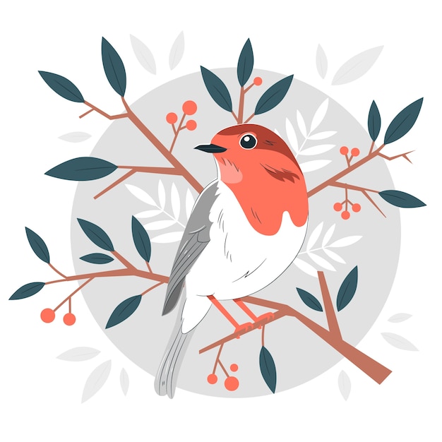 Free Vector robin bird concept illustration