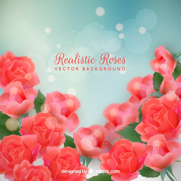 Rose background in realistic design