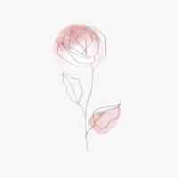 Free vector rose flower vector line art minimal pink pastel illustration