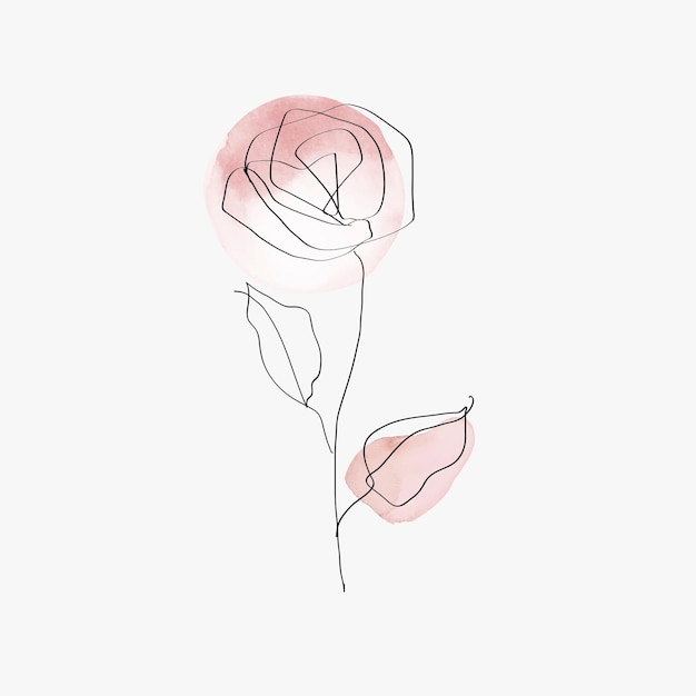 Rose flower vector line art minimal pink pastel illustration