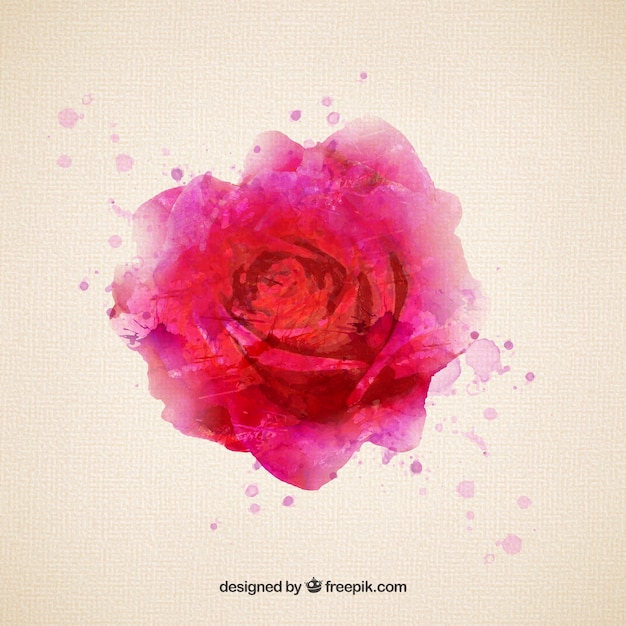 Free vector rose in watercolor style