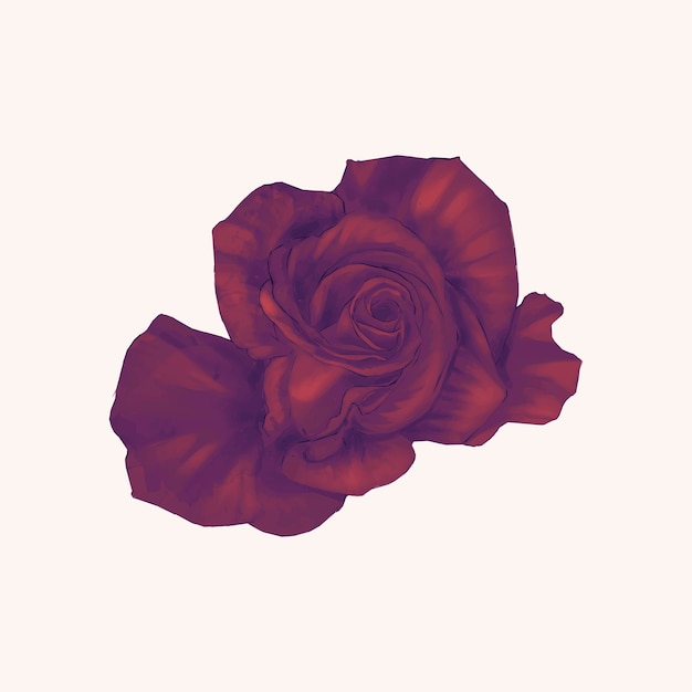 Free Vector rose 