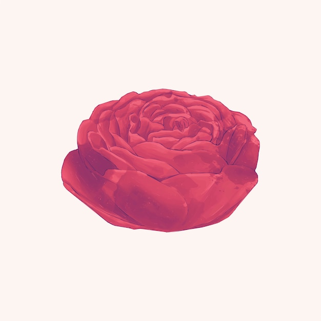 Free Vector rose 