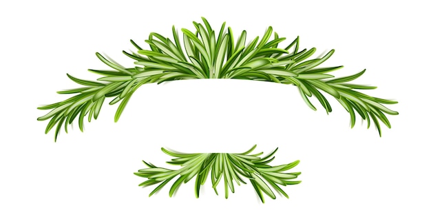 Rosemary banner frame with green leaves border