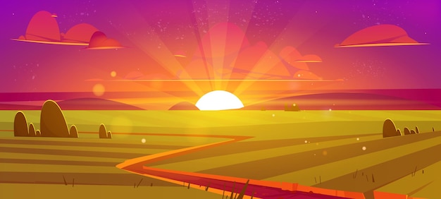 Rural landscape with agriculture fields at sunset