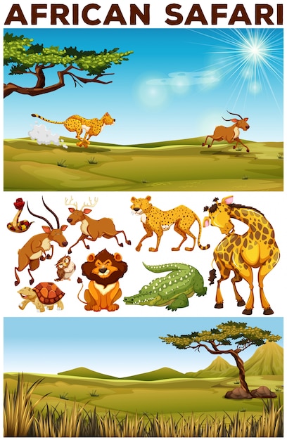 Free vector safari theme with wild animals in the field illustration