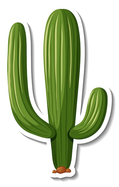 Free Vector saguaro cactus plant on white background